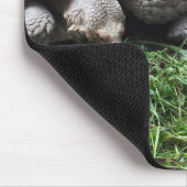 Tapis De Souris Deux tortues géantes (Coin)