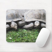 Tapis De Souris Deux tortues géantes (Avec souris)