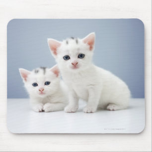 Tapis De Souris Deux très jeunes chatons blancs observent inquisit