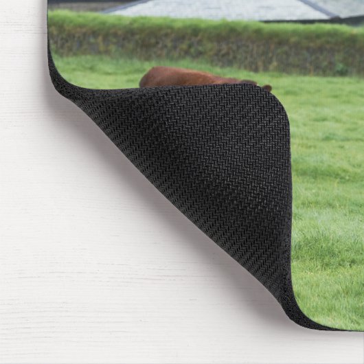 Tapis De Souris Devon, Angleterre (Coin)