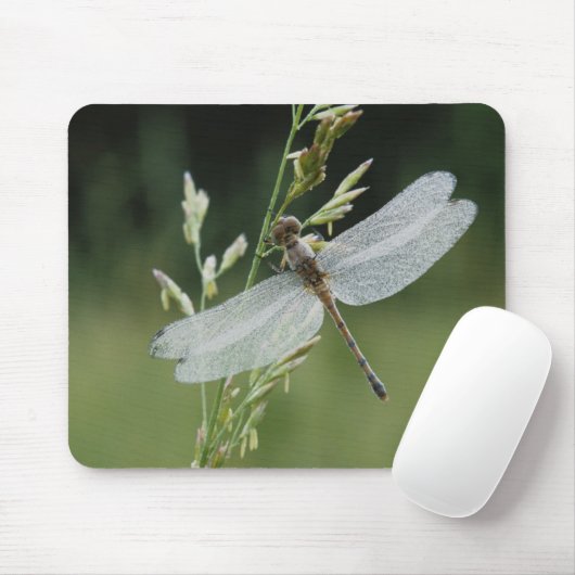 Tapis De Souris Dew couvert Darner Dragonfly (Avec souris)