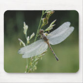 Tapis De Souris Dew couvert Darner Dragonfly (Devant)