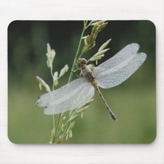 Tapis De Souris Dew couvert Darner Dragonfly (Devant)