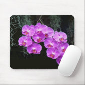 Tapis De Souris Dew-Kissed Orchids (Avec souris)
