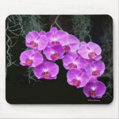 Tapis De Souris Dew-Kissed Orchids (Devant)