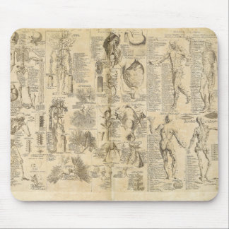Tapis De Souris Diagramme anatomique de Cyclopaedia 1728