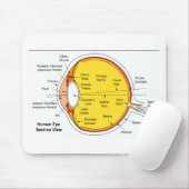 Tapis De Souris Diagramme anatomique de la boule d'oeil humain (Avec souris)