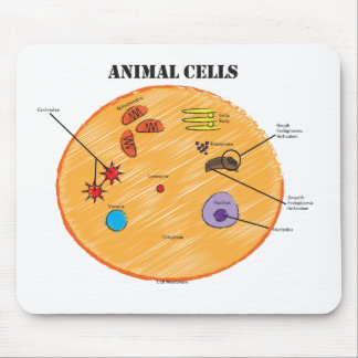 Tapis De Souris Diagramme animal de cellules