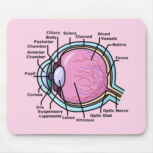 Tapis De Souris Diagramme de l'oeil (Devant)