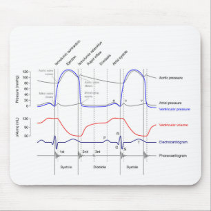 Tapis De Souris Diagramme de Wiggers événements cardiaccycle gauch