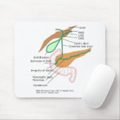 Tapis De Souris Diagramme du système de la souris de la bande mill (Avec souris)