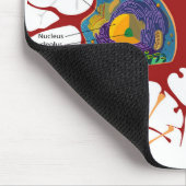 Tapis De Souris Diagramme Neurone Complet Cellule Nerf Système Ner (Coin)