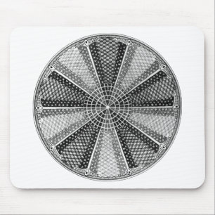 Tapis De Souris Diatom 13 Ernst Haeckel Fine Art