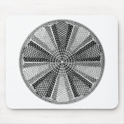 Tapis De Souris Diatom 13 Ernst Haeckel Fine Art (Devant)