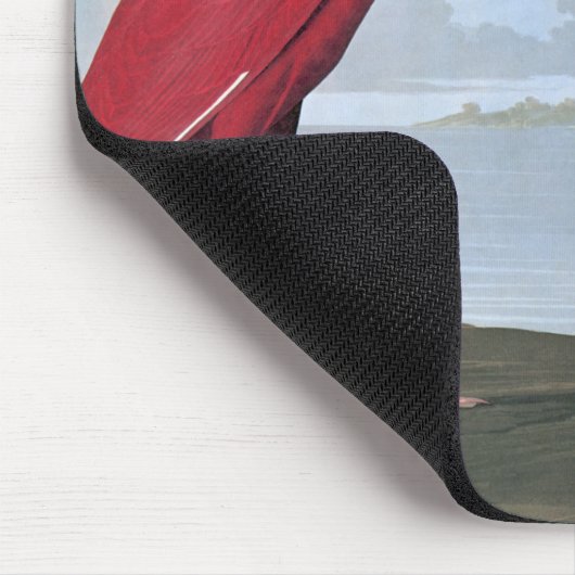 Tapis de souris d'IBIS d'écarlate d'Audubon (Coin)