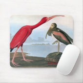 Tapis de souris d'IBIS d'écarlate d'Audubon (Avec souris)