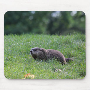 Tapis De Souris Digger de trou du diable