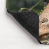 Tapis de souris d'images de girafe (Coin)