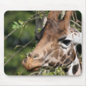 Tapis de souris d'images de girafe (Devant)