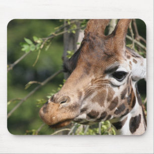 Tapis de souris d'images de girafe