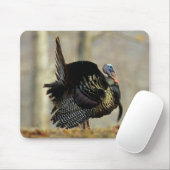 Tapis De Souris Dinde mâle, Illinois (Avec souris)
