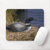 Tapis De Souris Dingue commun sur le nid (Avec souris)