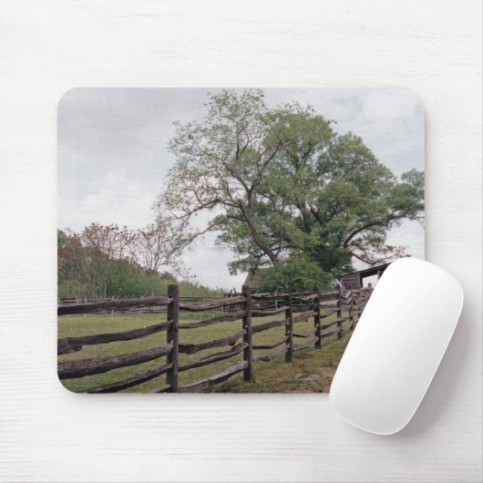 Tapis De Souris Direction (Avec souris)