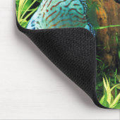 Tapis De Souris Discus Fish in aquatic plant aquqrium (Coin)
