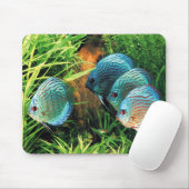 Tapis De Souris Discus Fish in aquatic plant aquqrium (Avec souris)