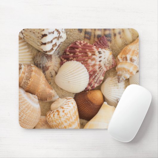 Tapis De Souris Disposition de coquillage (Avec souris)