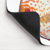 Tapis De Souris Disque (Coin)