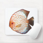 Tapis De Souris Disque (Avec souris)