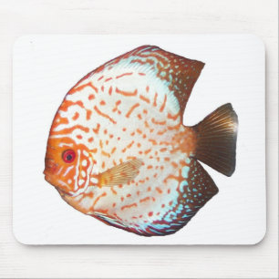 Tapis De Souris Disque