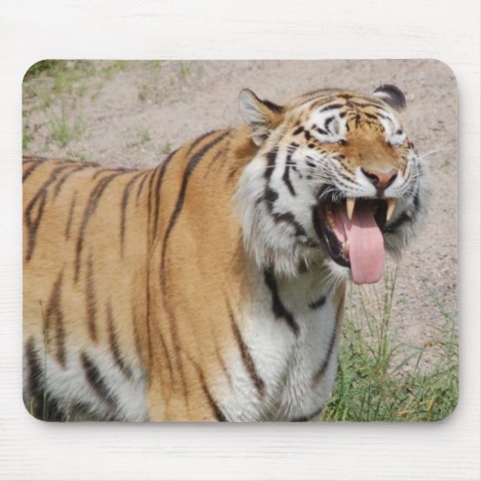 Tapis De Souris Dites le tigre Mousepad de fromage (Devant)