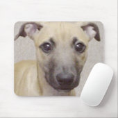 Tapis De Souris Divo (Avec souris)