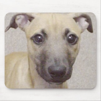 Tapis De Souris Divo