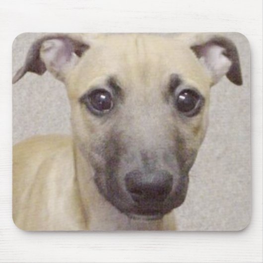 Tapis De Souris Divo (Devant)