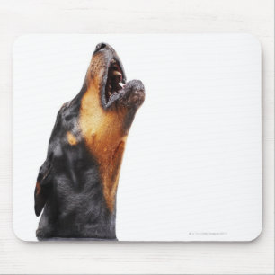 Tapis De Souris Dobermann hurlant