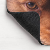 Tapis De Souris dog (Coin)