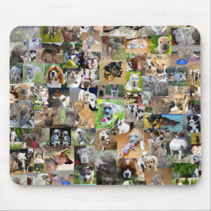 Tapis De Souris Dog Photo Collage,