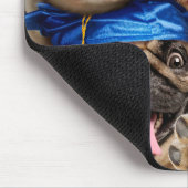 Tapis De Souris Dogs and Cat Grads in Photo Booth (Coin)