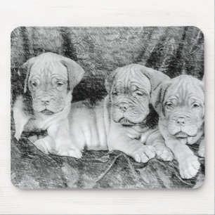 Tapis De Souris Dogue de bordeaux