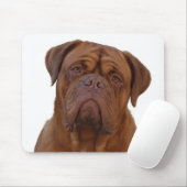 Tapis De Souris Dogue de Bourdeaux (Avec souris)