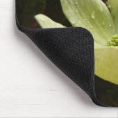 Tapis De Souris Dogwoods et séquoias dans le parc national Yosemit (Coin)