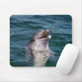 Tapis De Souris Dolfin (Avec souris)