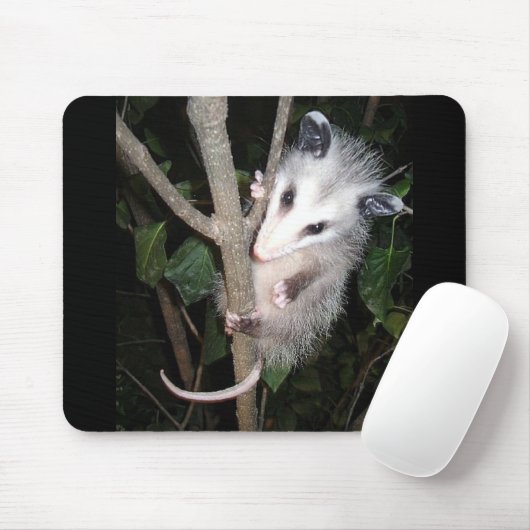 Tapis de souris d'opossum (Avec souris)