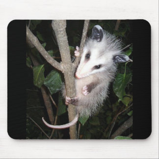 Tapis de souris d'opossum