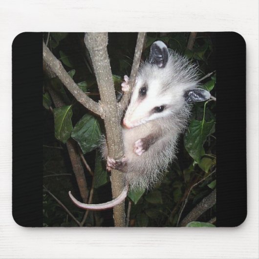 Tapis de souris d'opossum (Devant)