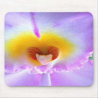 Tapis de souris d'orchidée de lavande