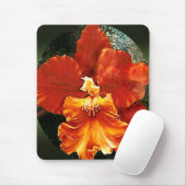 Tapis de souris d'orchidée de tigre (Avec souris)